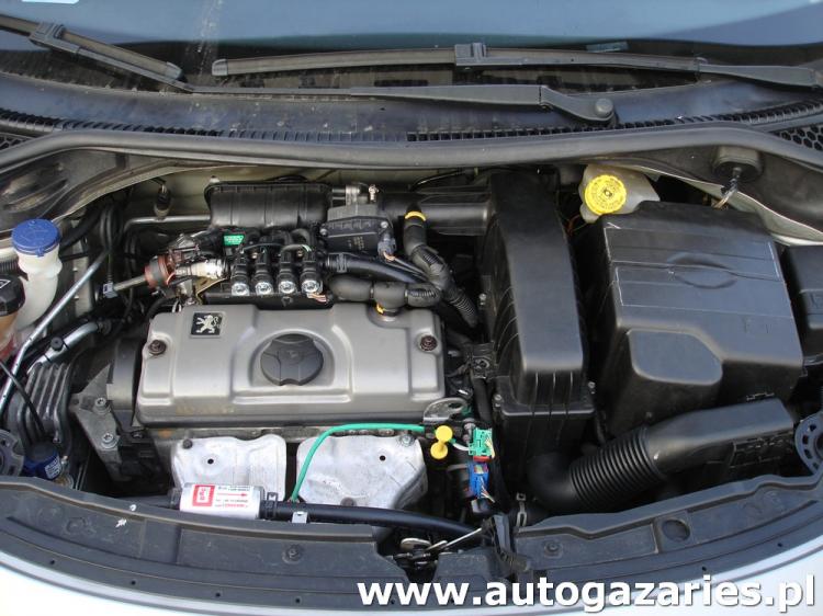 Peugeot 207 SW 1.4 75KM SQ Alba Auto Gaz Aries montaż